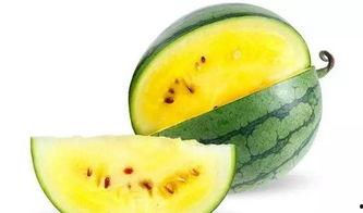 娱乐吃瓜渠道哪里找,轻松获取热门八卦资讯的秘籍